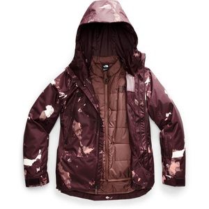 The North face winter jackey